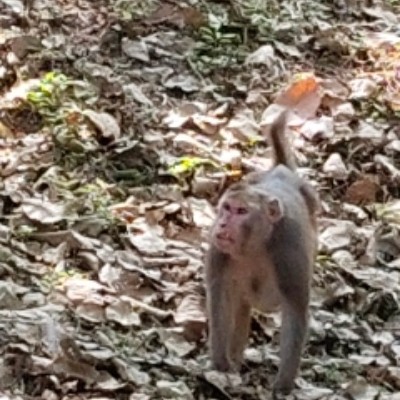 TO FIT TO QUIT DODDAIAH . E ಬೆಂಗಳೂರು post image