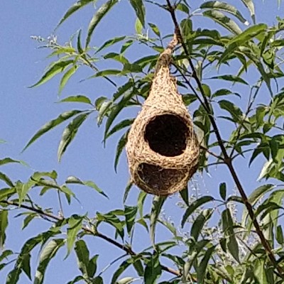 Achievers DODDAIAH . E ಬೆಂಗಳೂರು post image