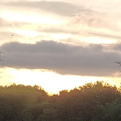 Winter Walking DODDAIAH . E ಬೆಂಗಳೂರು post image