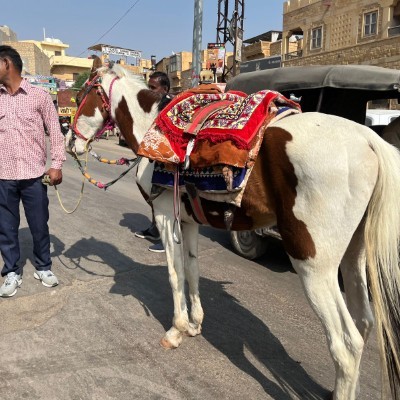 i colori del mare 🩵🩵🩵 DODDAIAH . E ಬೆಂಗಳೂರು post image