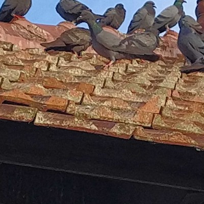 ДМЛ DODDAIAH . E ಬೆಂಗಳೂರು post image