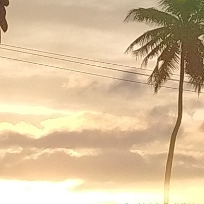 Winter Walking DODDAIAH . E ಬೆಂಗಳೂರು post image