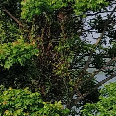 Rick's Friends DODDAIAH . E ಬೆಂಗಳೂರು post image