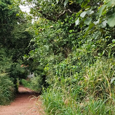 Achievers DODDAIAH . E ಬೆಂಗಳೂರು post image