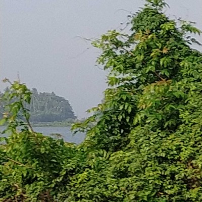 Rick's Friends DODDAIAH . E ಬೆಂಗಳೂರು post image