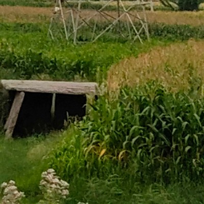 Amigos del deporte DODDAIAH . E ಬೆಂಗಳೂರು post image