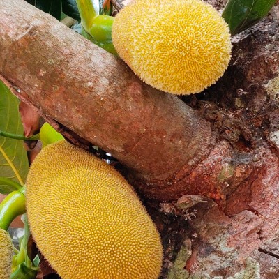 Friends of 🎀 Lea 🧸 Anne 🎀 DODDAIAH . E ಬೆಂಗಳೂರು post image