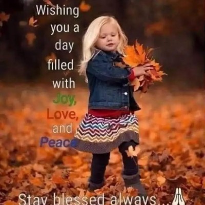 Tripu𝐥𝐚𝐜𝐢ó𝐧 Fantasma 👻 DODDAIAH . E ಬೆಂಗಳೂರು post image