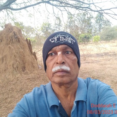 Roll Tide DODDAIAH . E ಬೆಂಗಳೂರು post image