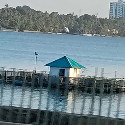 Tripu𝐥𝐚𝐜𝐢ó𝐧 Fantasma 👻 DODDAIAH . E ಬೆಂಗಳೂರು post image