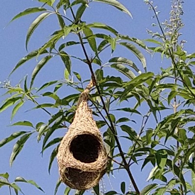 Achievers DODDAIAH . E ಬೆಂಗಳೂರು post image