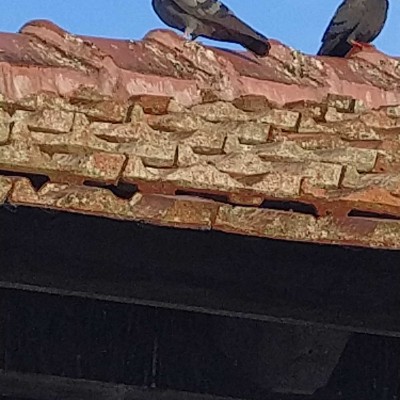 ДМЛ DODDAIAH . E ಬೆಂಗಳೂರು post image