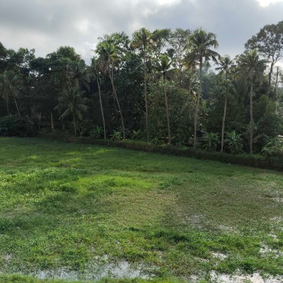 ☕️ The  Caffè ☕️ DODDAIAH . E ಬೆಂಗಳೂರು post image