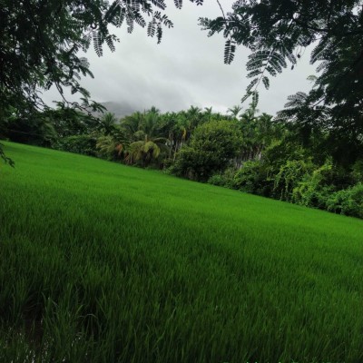 Club 15K🇳🇵 DODDAIAH . E ಬೆಂಗಳೂರು post image