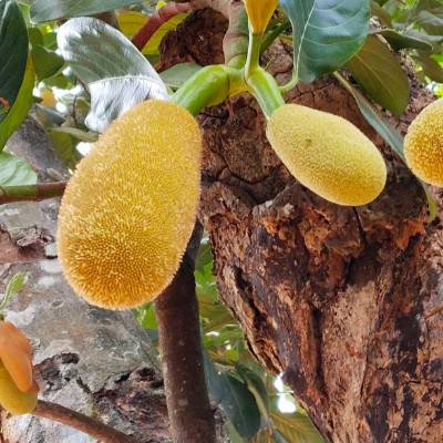 Friends of 🎀 Lea 🧸 Anne 🎀 DODDAIAH . E ಬೆಂಗಳೂರು post image