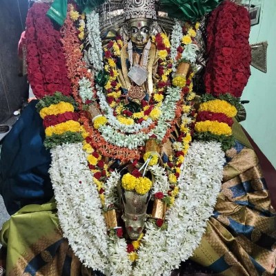 Protect The Ecosystem Protect The Ecosystem post image