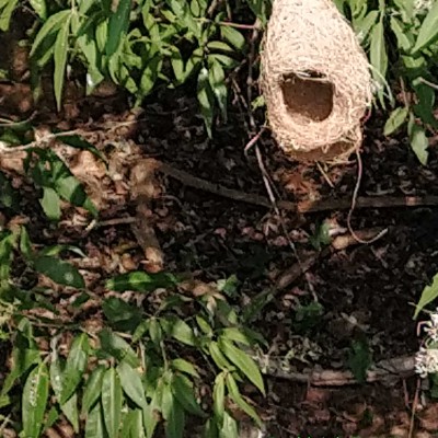 Achievers DODDAIAH . E ಬೆಂಗಳೂರು post image