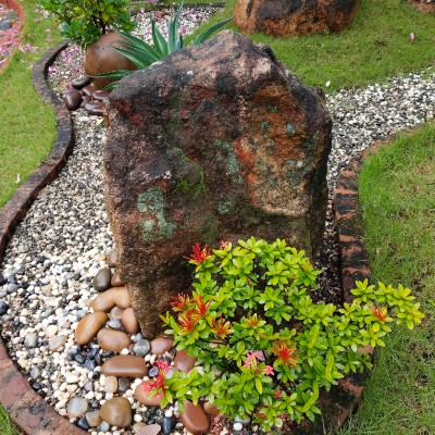 Stay Safe Stay 🏠 🏃‍♀️ DODDAIAH . E ಬೆಂಗಳೂರು post image