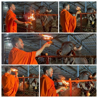 ДМЛ DODDAIAH . E ಬೆಂಗಳೂರು post image