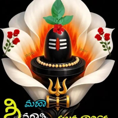 Pound Droppers , Steps to Fit DODDAIAH . E ಬೆಂಗಳೂರು post image