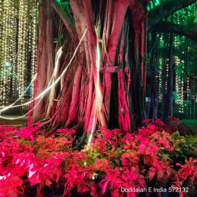 10K A Day DODDAIAH . E ಬೆಂಗಳೂರು post image