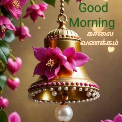 Friends of 🎀 Lea 🧸 Anne 🎀 DODDAIAH . E ಬೆಂಗಳೂರು post image