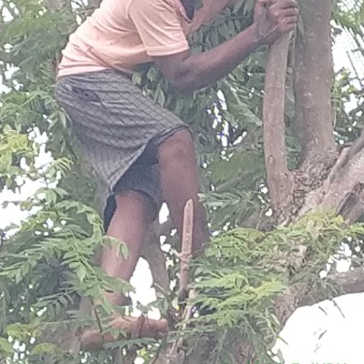 Club 15K🇳🇵 DODDAIAH . E ಬೆಂಗಳೂರು post image