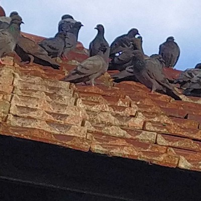 ДМЛ DODDAIAH . E ಬೆಂಗಳೂರು post image