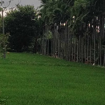 Club 15K🇳🇵 DODDAIAH . E ಬೆಂಗಳೂರು post image