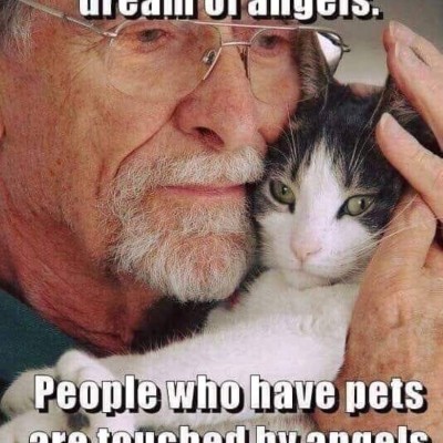 TERUEL EXISTE Y ANDA DODDAIAH . E ಬೆಂಗಳೂರು post image