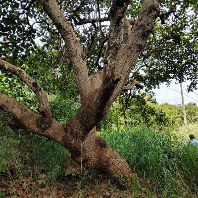 Achievers DODDAIAH . E ಬೆಂಗಳೂರು post image