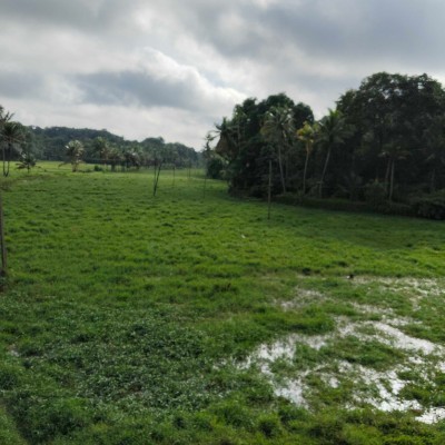 ☕️ The  Caffè ☕️ DODDAIAH . E ಬೆಂಗಳೂರು post image