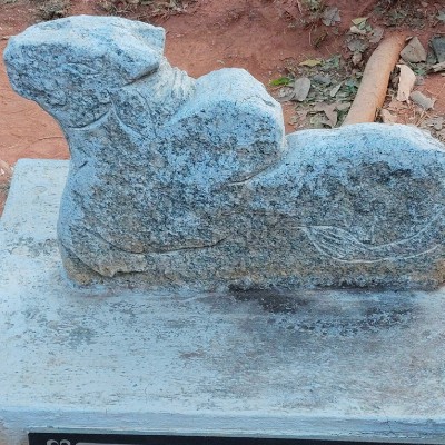 The Step Master DODDAIAH . E ಬೆಂಗಳೂರು post image