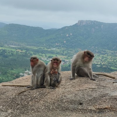 Perte de poids DODDAIAH . E ಬೆಂಗಳೂರು post image