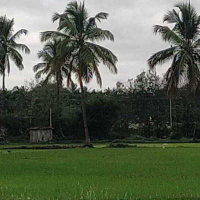 The Club DODDAIAH . E ಬೆಂಗಳೂರು post image