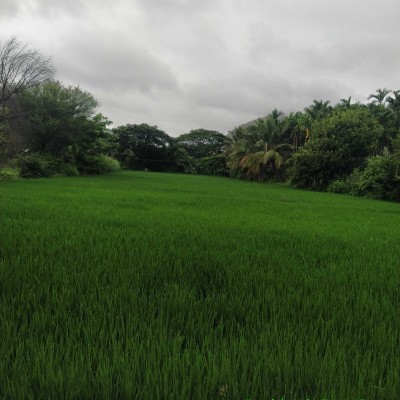 The Club DODDAIAH . E ಬೆಂಗಳೂರು post image