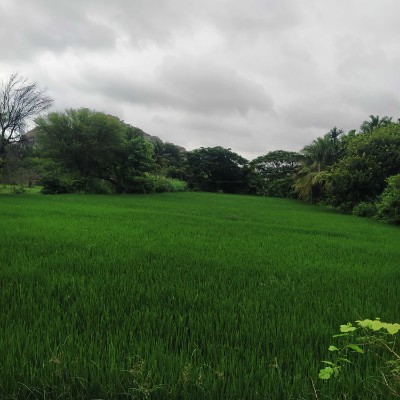 The Club DODDAIAH . E ಬೆಂಗಳೂರು post image