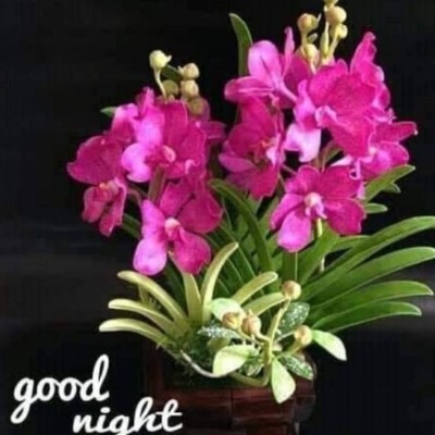 Highlander  DODDAIAH . E ಬೆಂಗಳೂರು post image