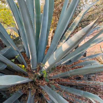 Happy Feet 👣 DODDAIAH . E ಬೆಂಗಳೂರು post image