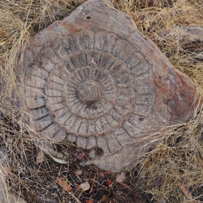 HẢI PHÒNG DODDAIAH . E ಬೆಂಗಳೂರು post image