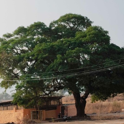 Happy Feet 👣 DODDAIAH . E ಬೆಂಗಳೂರು post image