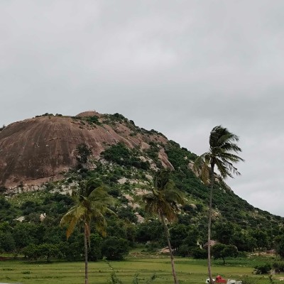 Москва 10000 шагов в день .🏃‍♂ DODDAIAH . E ಬೆಂಗಳೂರು post image