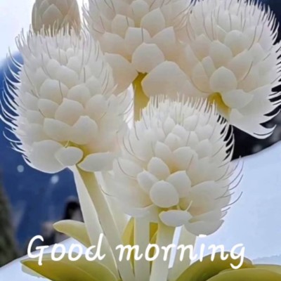 Sole Mates👣💗 DODDAIAH . E ಬೆಂಗಳೂರು post image