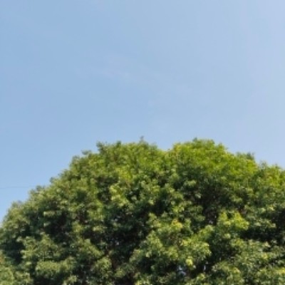 camina contigo 🥰🌻 DODDAIAH . E ಬೆಂಗಳೂರು post image