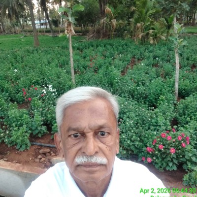 (Light Walk) پياده روى سَبُك DODDAIAH . E ಬೆಂಗಳೂರು post image