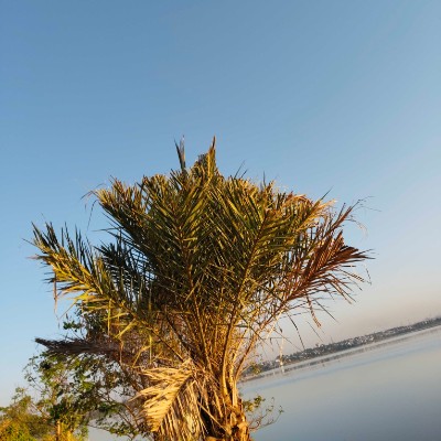 ChallengeFriends🌍🌎🌏 DODDAIAH . E ಬೆಂಗಳೂರು post image