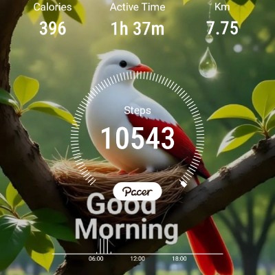 Morning walk DODDAIAH . E ಬೆಂಗಳೂರು post image