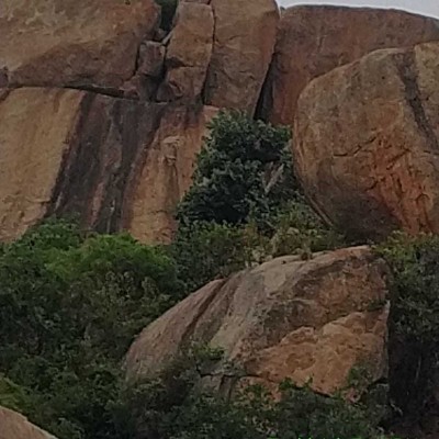 Ryan...OTO DODDAIAH . E ಬೆಂಗಳೂರು post image