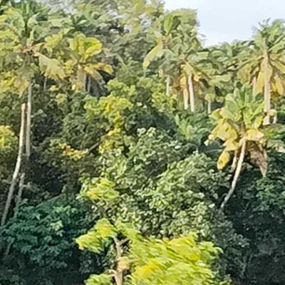 Pacer Dubai Club    نادي دبي DODDAIAH . E ಬೆಂಗಳೂರು post image