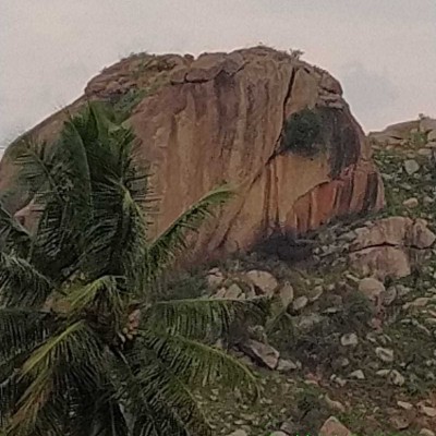 Ryan...OTO DODDAIAH . E ಬೆಂಗಳೂರು post image